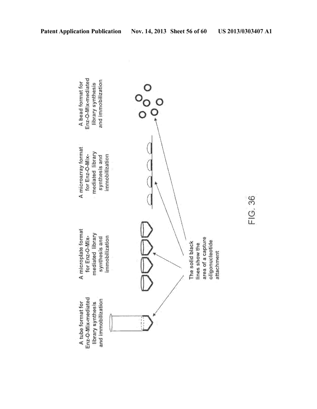 COMPOSITIONS AND METHODS FOR PROCESSING AND AMPLIFICATION OF DNA,     INCLUDING USING MULTIPLE ENZYMES IN A SINGLE REACTION - diagram, schematic, and image 57