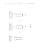 COMPOSITIONS AND METHODS FOR PROCESSING AND AMPLIFICATION OF DNA,     INCLUDING USING MULTIPLE ENZYMES IN A SINGLE REACTION diagram and image