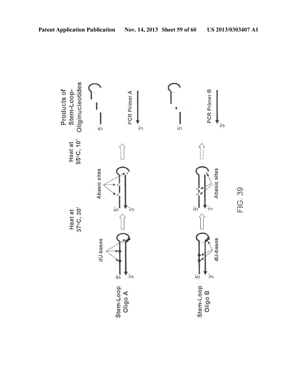 COMPOSITIONS AND METHODS FOR PROCESSING AND AMPLIFICATION OF DNA,     INCLUDING USING MULTIPLE ENZYMES IN A SINGLE REACTION - diagram, schematic, and image 60