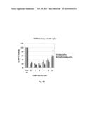 Smart Pro-Drugs of Serine Protease Inhibitors diagram and image