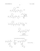 Smart Pro-Drugs of Serine Protease Inhibitors diagram and image