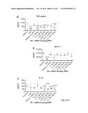 PEPTIDE ANALOGS OF ALPHA-MELANOCYTE STIMULATING HORMONE diagram and image