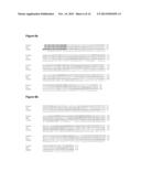 TREATMENT OF ALLODYNIA, HYPERALGESIA, SPONTANEOUS PAIN AND PHANTOM PAIN diagram and image