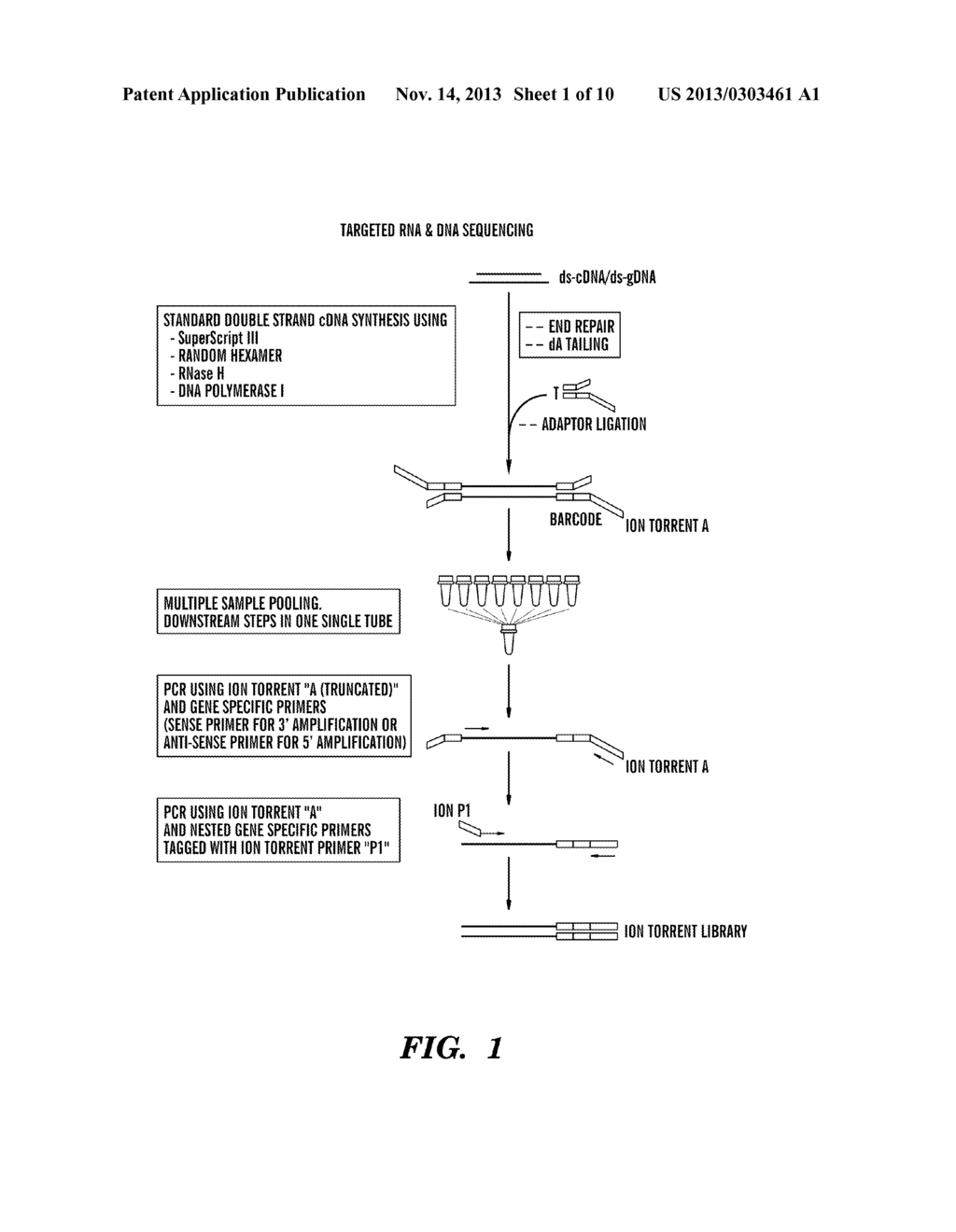 METHODS FOR DETERMINING A NUCLEOTIDE SEQUENCE - diagram, schematic, and image 02