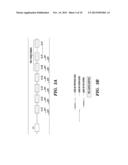 METHODS FOR DETERMINING A NUCLEOTIDE SEQUENCE diagram and image