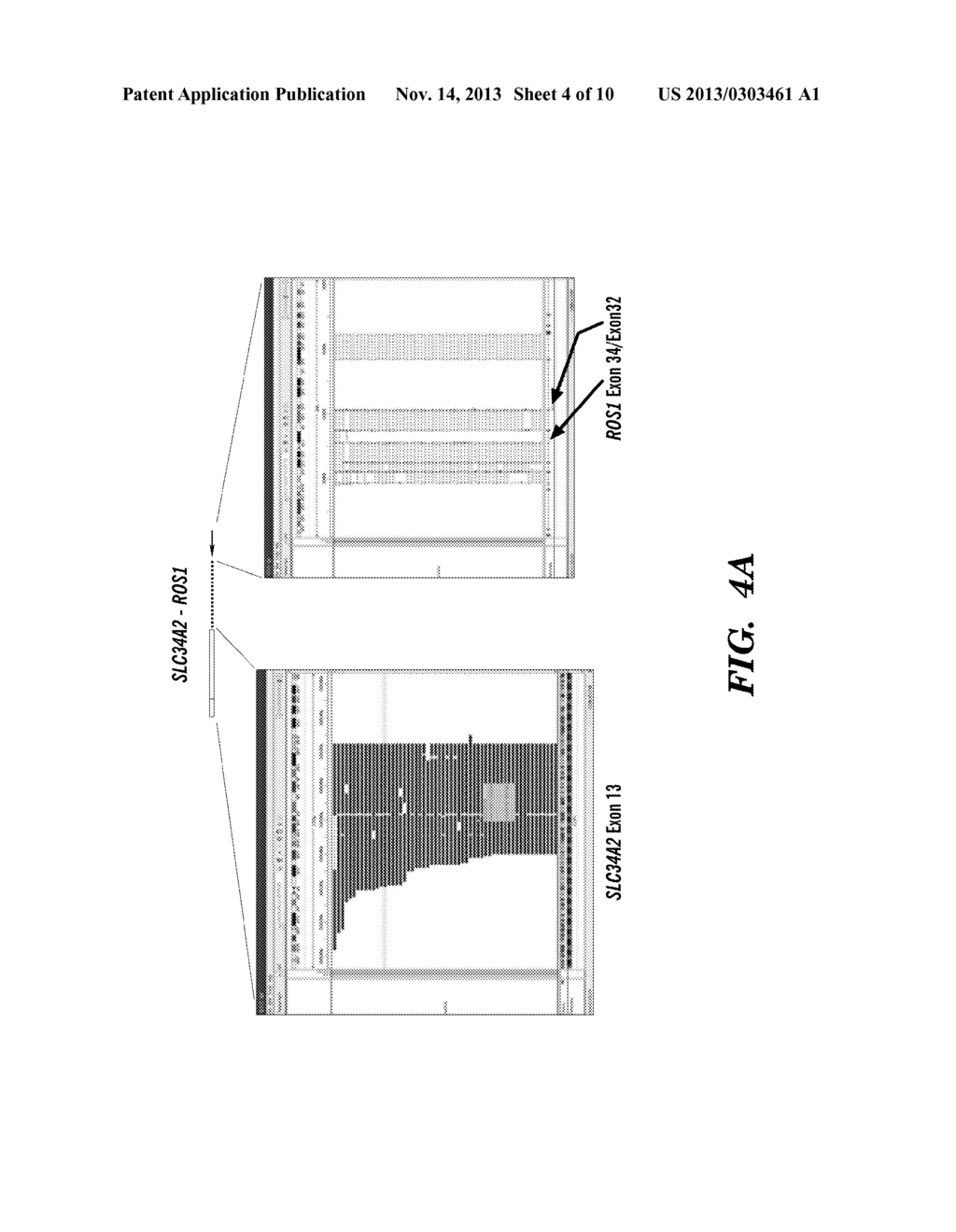 METHODS FOR DETERMINING A NUCLEOTIDE SEQUENCE - diagram, schematic, and image 05