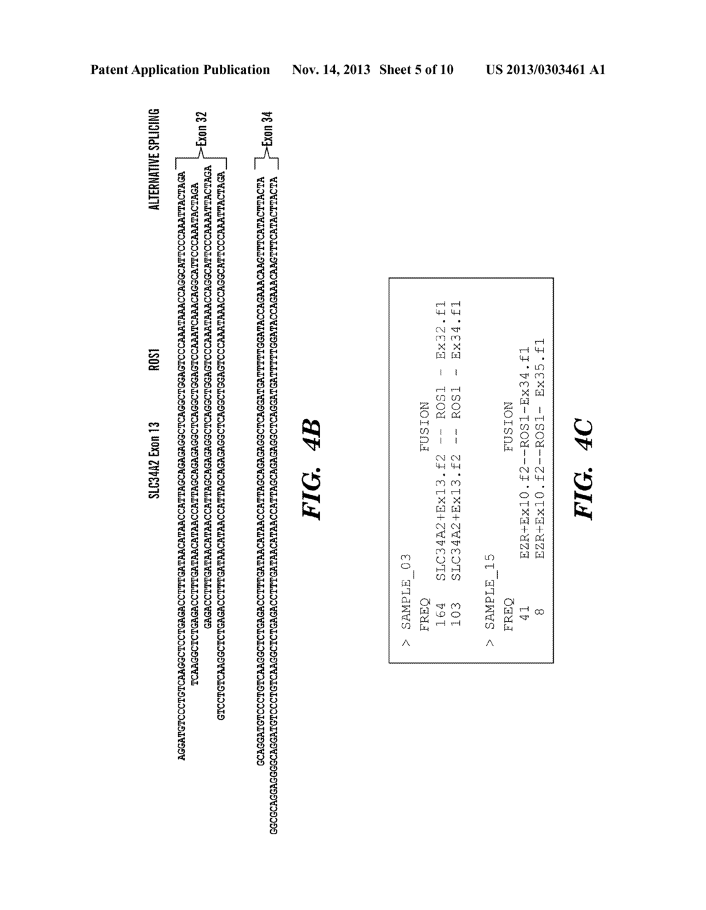 METHODS FOR DETERMINING A NUCLEOTIDE SEQUENCE - diagram, schematic, and image 06