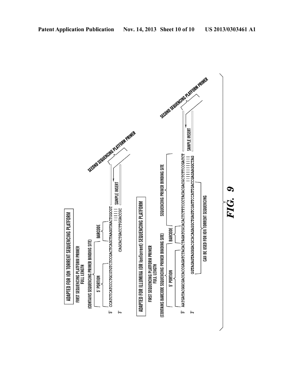 METHODS FOR DETERMINING A NUCLEOTIDE SEQUENCE - diagram, schematic, and image 11