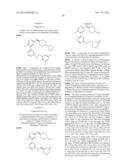 SUBSTITUTED HETERO-BIARYL COMPOUNDS AND THEIR USES diagram and image