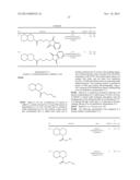 INHIBITOR COMPOUNDS OF 11-BETA-HYDROXYSTEROID DEHYDROGENASE TYPE 1 diagram and image