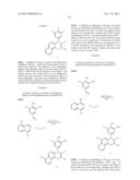 CHROMENE DERIVATIVES AND THEIR ANALOGA AS WNT PATHWAY ANTAGONISTS diagram and image