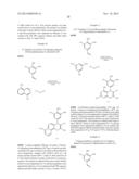 CHROMENE DERIVATIVES AND THEIR ANALOGA AS WNT PATHWAY ANTAGONISTS diagram and image