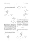 CHROMENE DERIVATIVES AND THEIR ANALOGA AS WNT PATHWAY ANTAGONISTS diagram and image