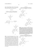 CHROMENE DERIVATIVES AND THEIR ANALOGA AS WNT PATHWAY ANTAGONISTS diagram and image