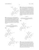 CHROMENE DERIVATIVES AND THEIR ANALOGA AS WNT PATHWAY ANTAGONISTS diagram and image