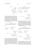 CHROMENE DERIVATIVES AND THEIR ANALOGA AS WNT PATHWAY ANTAGONISTS diagram and image