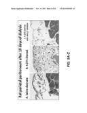 TREATMENT OF PERITONEAL INJURY USING JAK INHIBITORS diagram and image