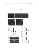 METHOD FOR TREATING A NEURODEGENERATIVE DISORDER diagram and image