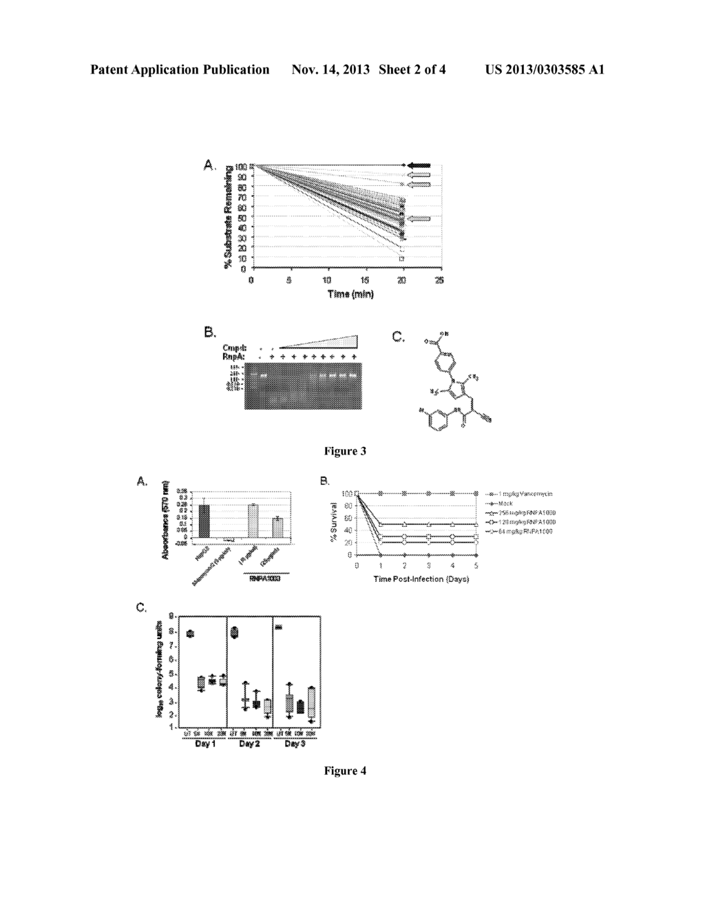 SMALL MOLECULE RNASE INHIBITORS AND METHODS OF USE - diagram, schematic, and image 03