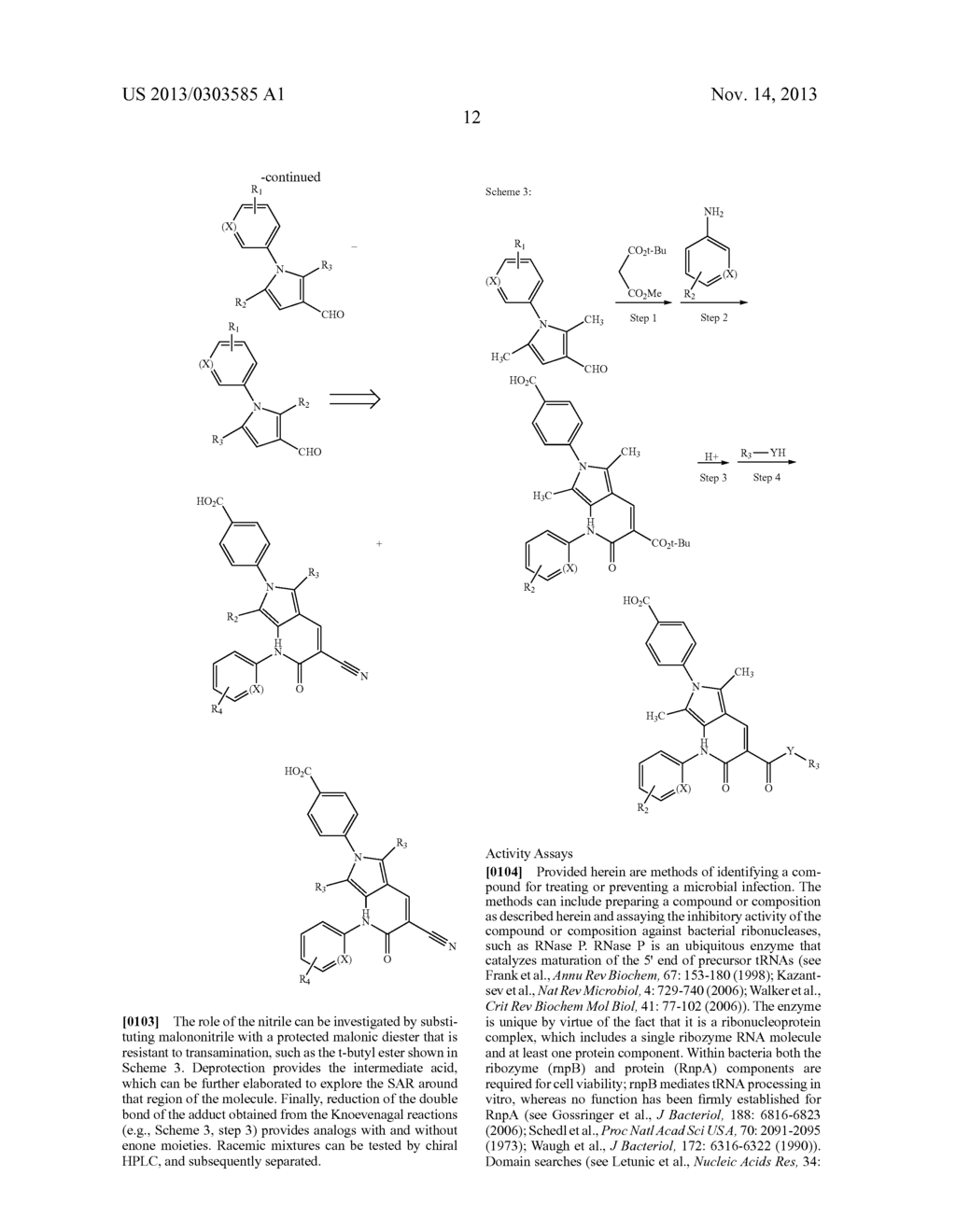 SMALL MOLECULE RNASE INHIBITORS AND METHODS OF USE - diagram, schematic, and image 17