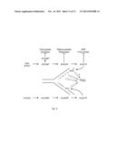 COMBINATION OF DNA REPAIR INHIBITION WITH BENDAMUSTINE OR GEMCITABINE IN     THE TREATMENT OF CANCER diagram and image