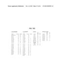 METHODS AND COMPOSITIONS INVOLVING MIRNA AND MIRNA INHIBITOR MOLECULES diagram and image