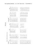 METHODS AND COMPOSITIONS INVOLVING MIRNA AND MIRNA INHIBITOR MOLECULES diagram and image