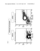 USE OF INTERLEUKIN 10 MRNA TRANSFECTED MACROPHAGES IN ANTI-INFLAMMATORY     THERAPIES diagram and image