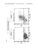 USE OF INTERLEUKIN 10 MRNA TRANSFECTED MACROPHAGES IN ANTI-INFLAMMATORY     THERAPIES diagram and image