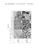 COMPOSITION FOR COSMETICS, COSMETIC, METHOD FOR PRODUCING OIL-IN-WATER     EMULSION COSMETIC, AND TWO SEPARATE LAYER-TYPE COSMETIC diagram and image