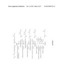 MICROORGANISMS AND METHODS FOR THE BIOSYNTHESIS OF ADIPATE,     HEXAMETHYLENEDIAMINE AND 6-AMINOCAPROIC ACID diagram and image