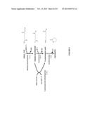 MICROORGANISMS AND METHODS FOR THE BIOSYNTHESIS OF ADIPATE,     HEXAMETHYLENEDIAMINE AND 6-AMINOCAPROIC ACID diagram and image