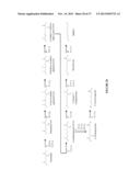 MICROORGANISMS AND METHODS FOR THE BIOSYNTHESIS OF ADIPATE,     HEXAMETHYLENEDIAMINE AND 6-AMINOCAPROIC ACID diagram and image