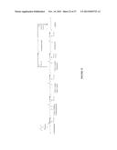 MICROORGANISMS AND METHODS FOR THE BIOSYNTHESIS OF ADIPATE,     HEXAMETHYLENEDIAMINE AND 6-AMINOCAPROIC ACID diagram and image