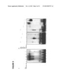 TARGETED SCHIFF BASE COMPLEXES diagram and image