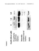 TARGETED SCHIFF BASE COMPLEXES diagram and image