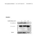 TARGETED SCHIFF BASE COMPLEXES diagram and image