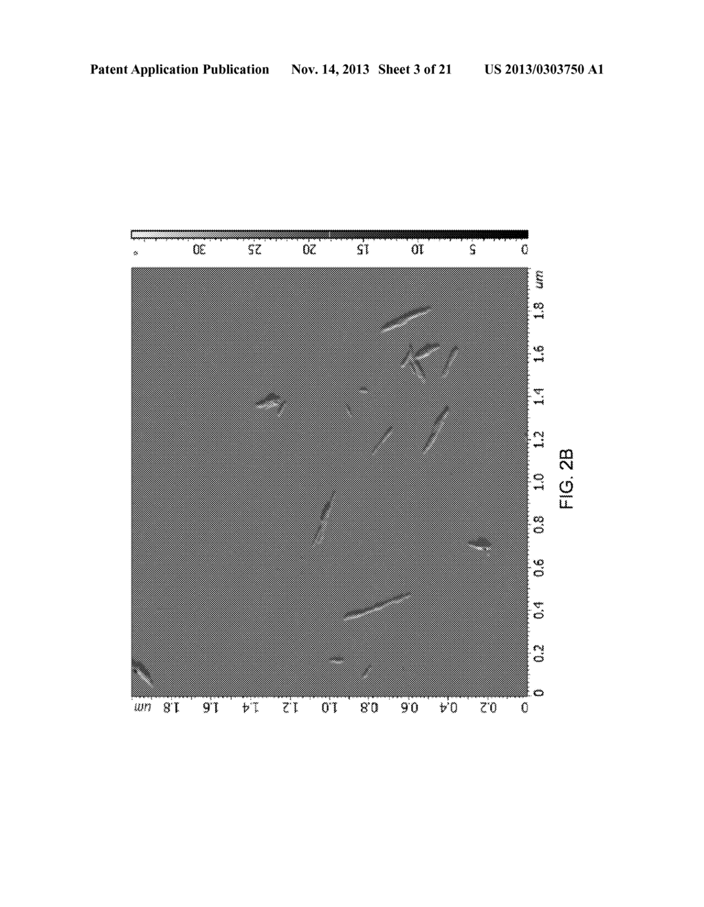 METHODS FOR INTEGRATING THE PRODUCTION OF CELLULOSE NANOFIBRILS WITH THE     PRODUCTION OF CELLULOSE NANOCRYSTALS - diagram, schematic, and image 04