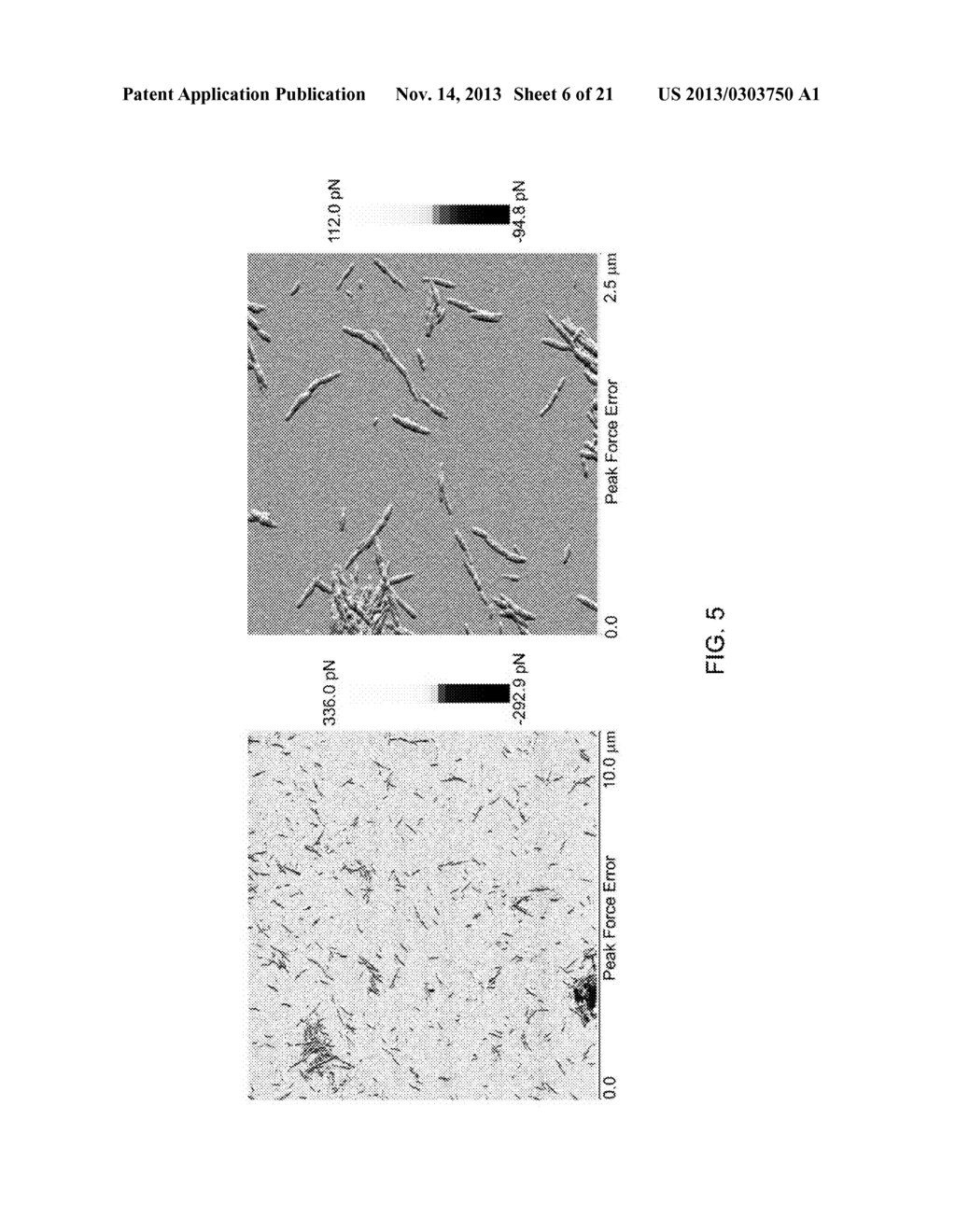 METHODS FOR INTEGRATING THE PRODUCTION OF CELLULOSE NANOFIBRILS WITH THE     PRODUCTION OF CELLULOSE NANOCRYSTALS - diagram, schematic, and image 07