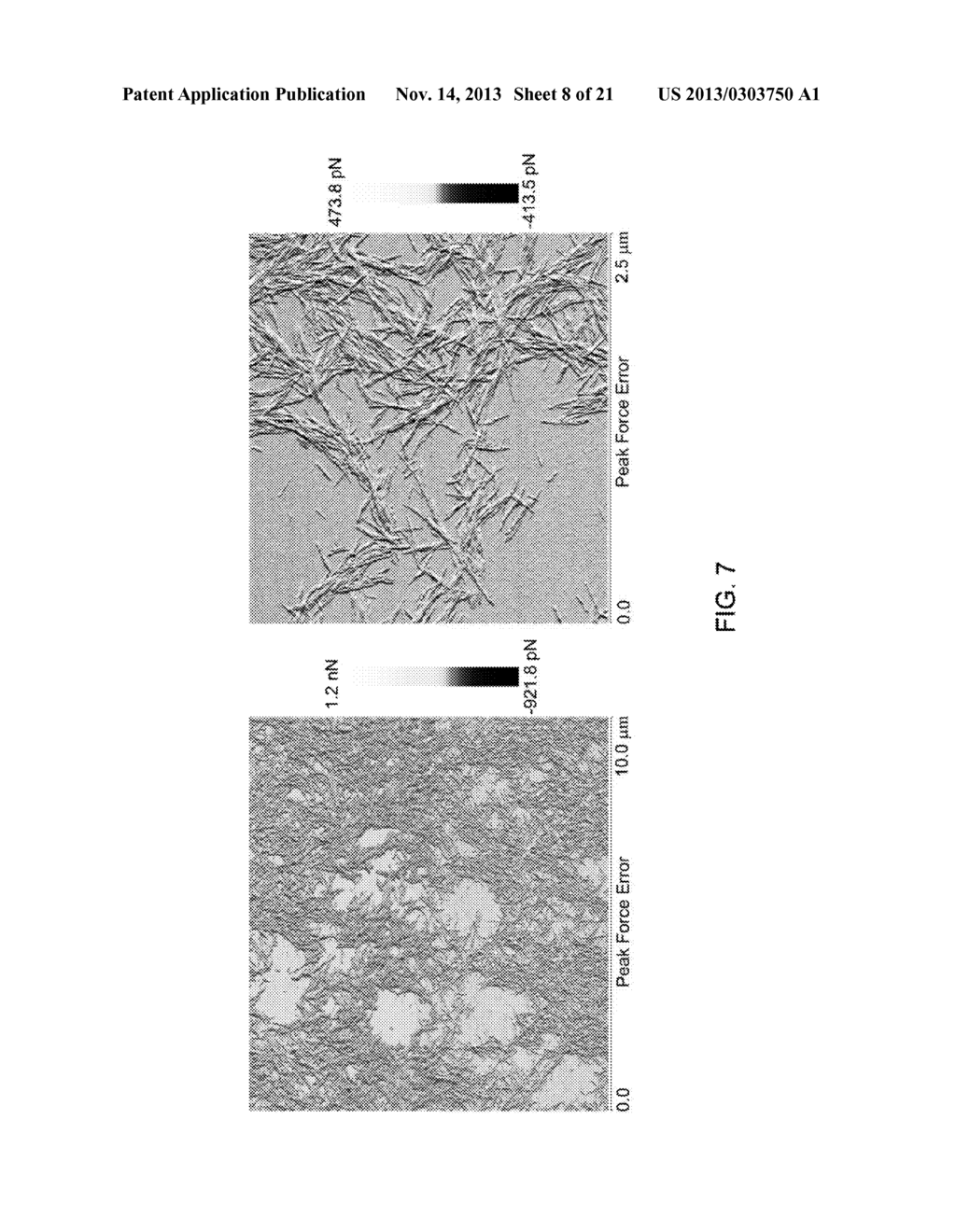 METHODS FOR INTEGRATING THE PRODUCTION OF CELLULOSE NANOFIBRILS WITH THE     PRODUCTION OF CELLULOSE NANOCRYSTALS - diagram, schematic, and image 09