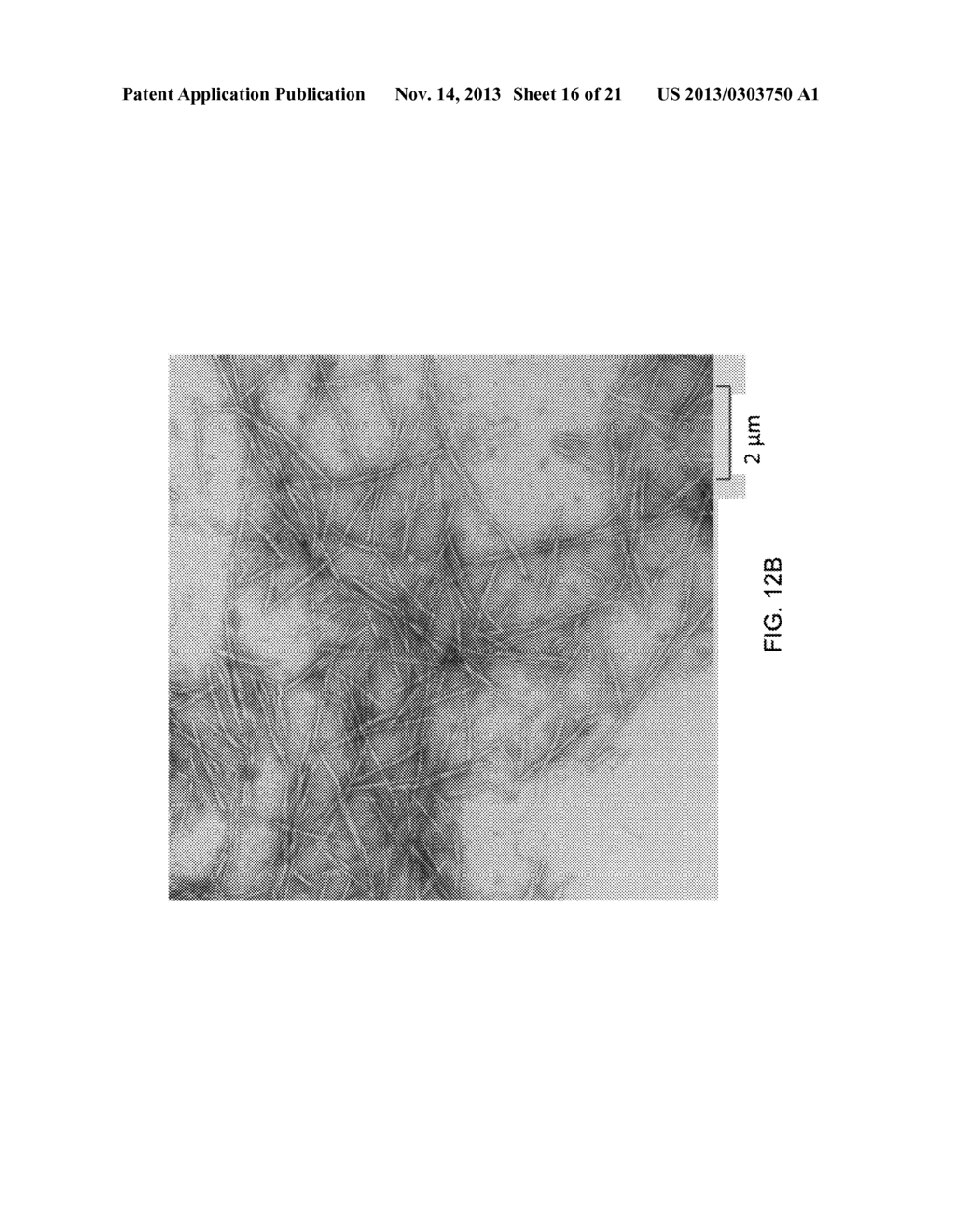 METHODS FOR INTEGRATING THE PRODUCTION OF CELLULOSE NANOFIBRILS WITH THE     PRODUCTION OF CELLULOSE NANOCRYSTALS - diagram, schematic, and image 17