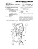 CAROTID BODY MODULATION PLANNING AND ASSESSMENT diagram and image