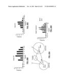 CAROTID BODY MODULATION PLANNING AND ASSESSMENT diagram and image