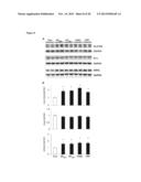 METHODS FOR IMPROVING HEART FUNCTION diagram and image