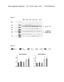 METHODS FOR IMPROVING HEART FUNCTION diagram and image