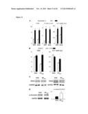 METHODS FOR IMPROVING HEART FUNCTION diagram and image