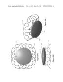 Accommodative-Disaccommodative intraocular Lens diagram and image