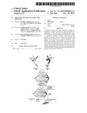 SIMULATION METHOD AND SIMULATOR APPARATUS diagram and image