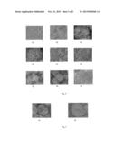 PVDF MEMBRANES HAVING A SUPERHYDROPHOBIC SURFACE diagram and image