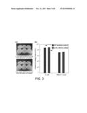 DEVICES AND METHODS FOR SEPARATING PARTICLES diagram and image